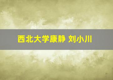 西北大学康静 刘小川